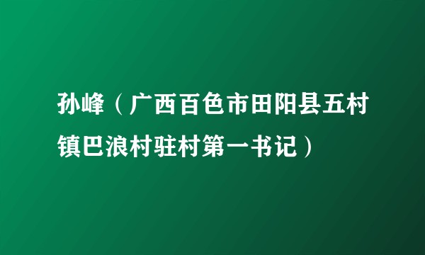 孙峰（广西百色市田阳县五村镇巴浪村驻村第一书记）