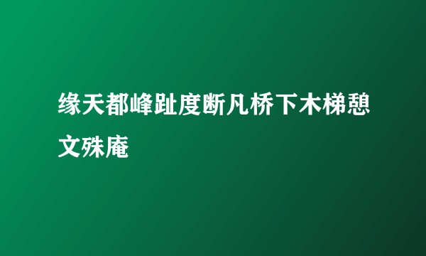 缘天都峰趾度断凡桥下木梯憩文殊庵
