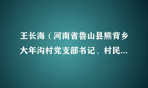 王长海（河南省鲁山县熊背乡大年沟村党支部书记、村民委员会主任）