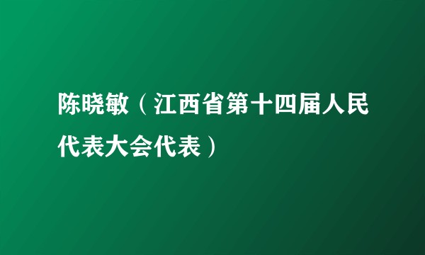 陈晓敏（江西省第十四届人民代表大会代表）