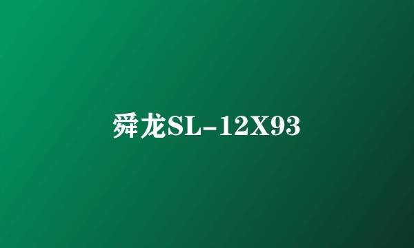 舜龙SL-12X93