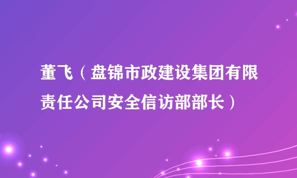 董飞（盘锦市政建设集团有限责任公司安全信访部部长）