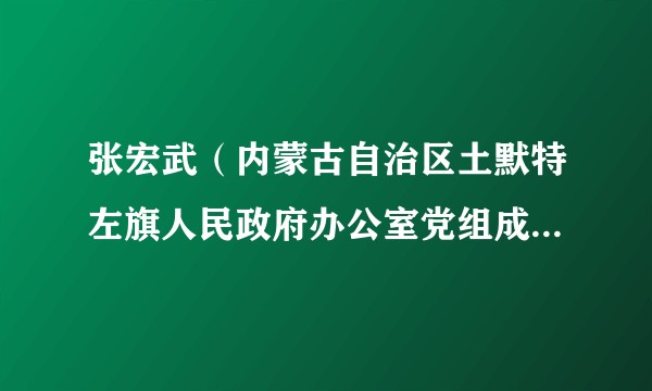 张宏武（内蒙古自治区土默特左旗人民政府办公室党组成员、副主任）
