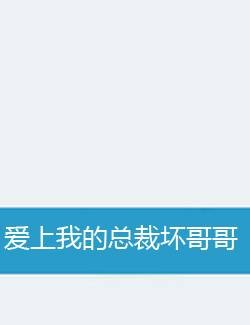 爱上我的总裁坏哥哥