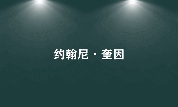 约翰尼·奎因
