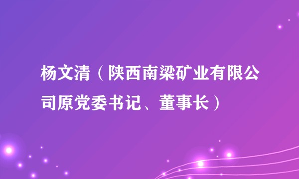 杨文清（陕西南梁矿业有限公司原党委书记、董事长）