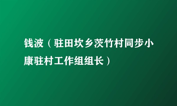 钱波（驻田坎乡茨竹村同步小康驻村工作组组长）