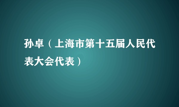 孙卓（上海市第十五届人民代表大会代表）