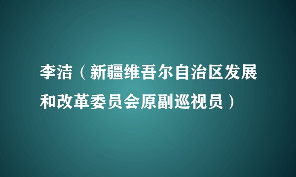 李洁（新疆维吾尔自治区发展和改革委员会原副巡视员）