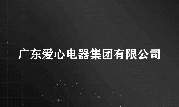 广东爱心电器集团有限公司