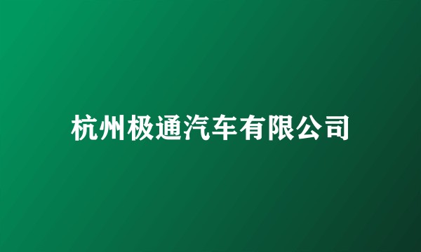 杭州极通汽车有限公司