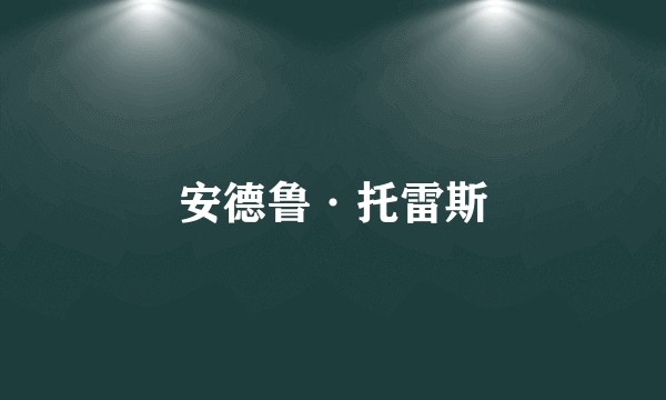 安德鲁·托雷斯
