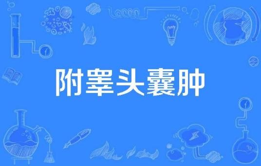 附睾头囊肿