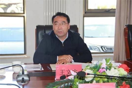 王文志（内蒙古自治区本级政府投资非经营性项目代建中心主任）