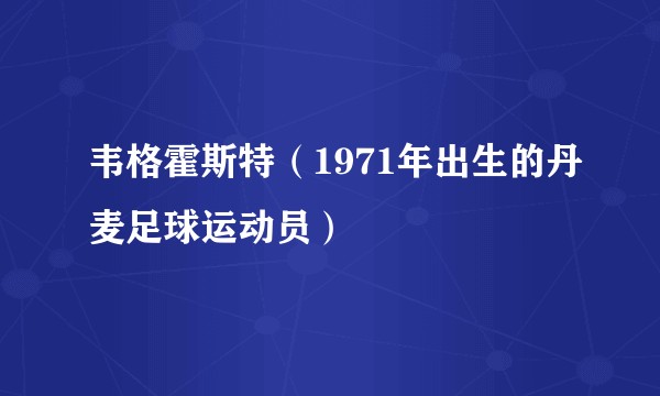 韦格霍斯特(1971年出生的丹麦足球运动员)