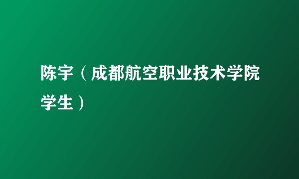 陈宇（成都航空职业技术学院学生）