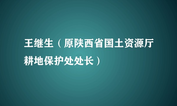 王继生（原陕西省国土资源厅耕地保护处处长）