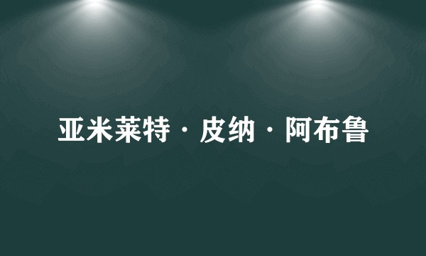 亚米莱特·皮纳·阿布鲁