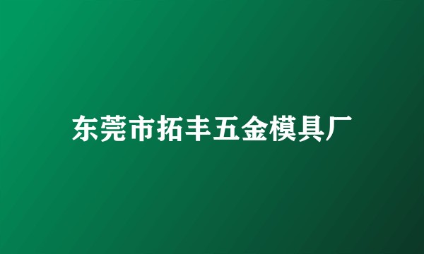 东莞市拓丰五金模具厂