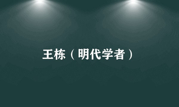 王栋（明代学者）