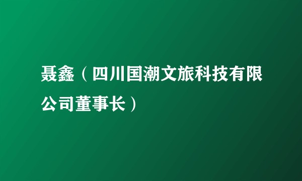 聂鑫（四川国潮文旅科技有限公司董事长）