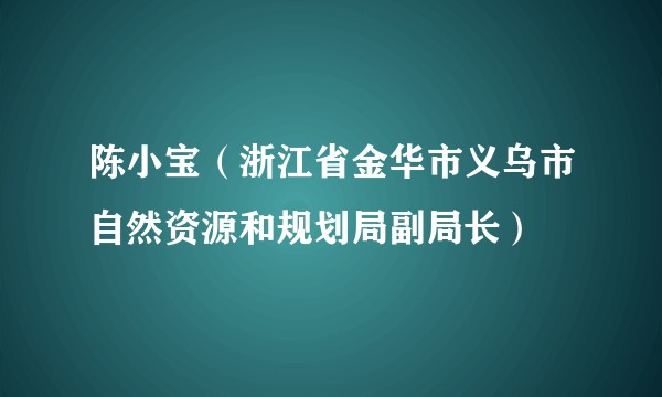 陈小宝（浙江省金华市义乌市自然资源和规划局副局长）
