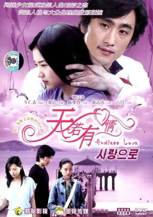 天若有情(2005年董洁、车仁表主演的都市情感剧)