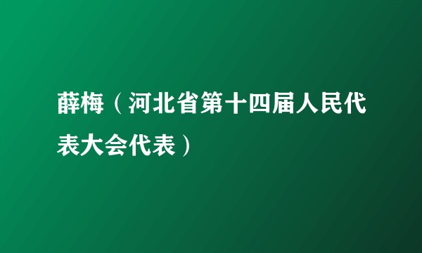 薛梅（河北省第十四届人民代表大会代表）
