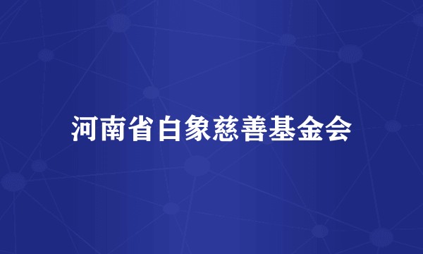 河南省白象慈善基金会