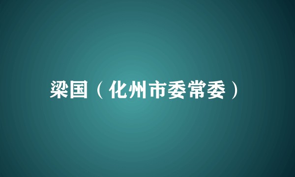 梁国（化州市委常委）