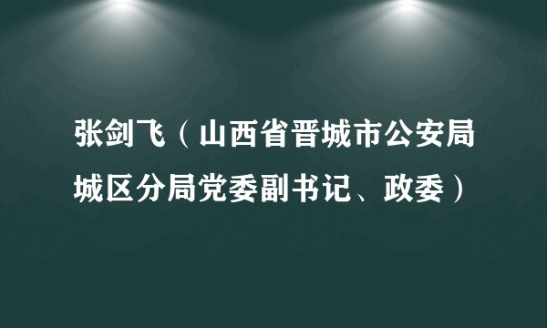 张剑飞（山西省晋城市公安局城区分局党委副书记、政委）