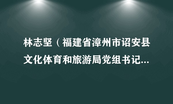 林志坚（福建省漳州市诏安县文化体育和旅游局党组书记、局长）