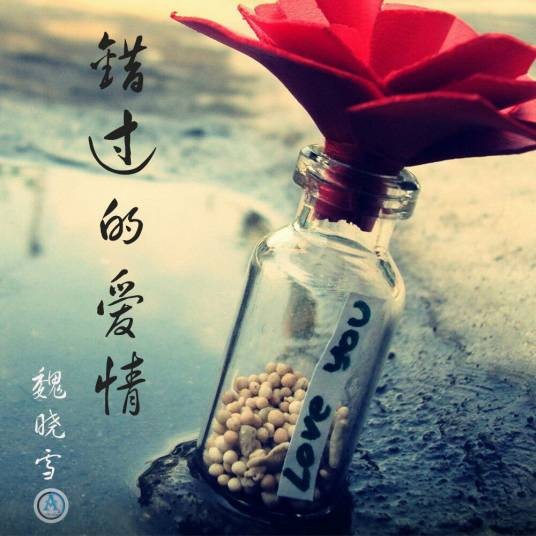 错过的爱情（魏晓雪演唱的）