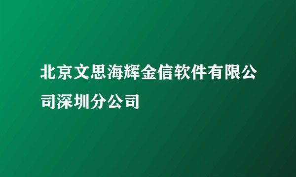 北京文思海辉金信软件有限公司深圳分公司