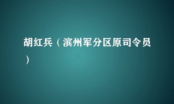 胡红兵（滨州军分区原司令员）