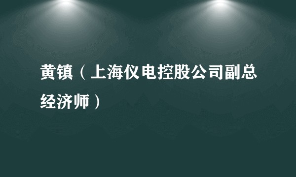 黄镇（上海仪电控股公司副总经济师）