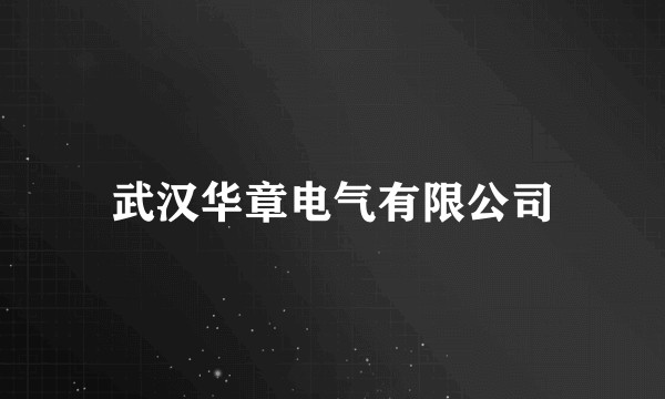 武汉华章电气有限公司