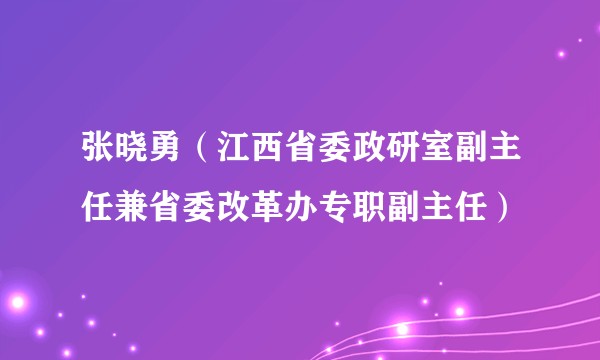 张晓勇（江西省委政研室副主任兼省委改革办专职副主任）