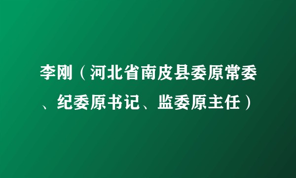 李刚（河北省南皮县委原常委、纪委原书记、监委原主任）
