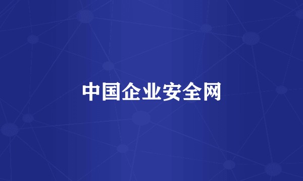 中国企业安全网