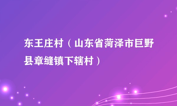 东王庄村（山东省菏泽市巨野县章缝镇下辖村）
