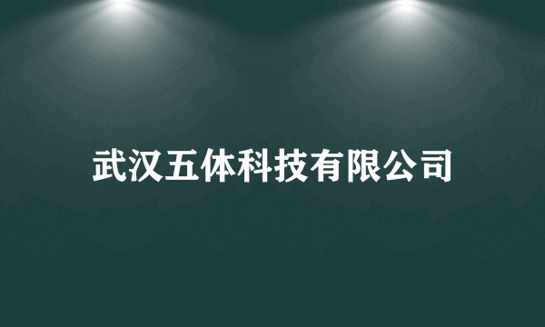 武汉五体科技有限公司