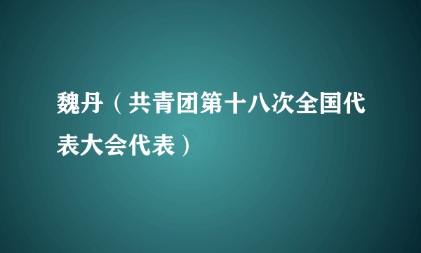 魏丹（共青团第十八次全国代表大会代表）
