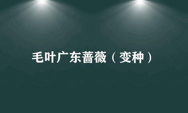 毛叶广东蔷薇（变种）