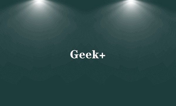 Geek+