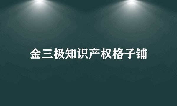 金三极知识产权格子铺