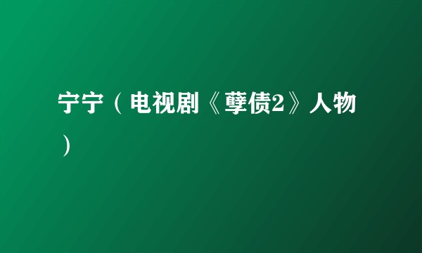 宁宁（电视剧《孽债2》人物）
