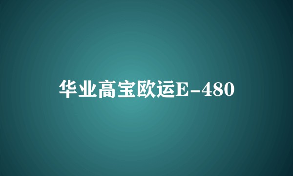华业高宝欧运E-480