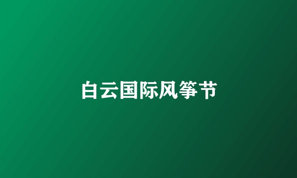 白云国际风筝节