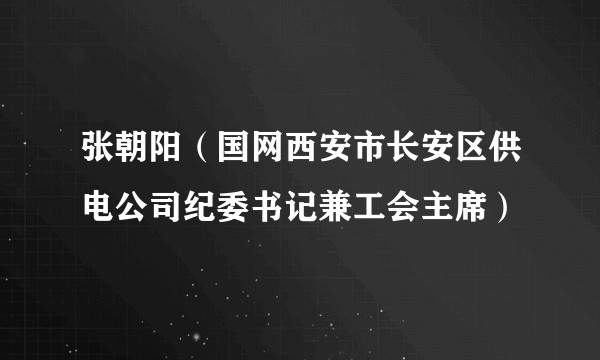 张朝阳（国网西安市长安区供电公司纪委书记兼工会主席）